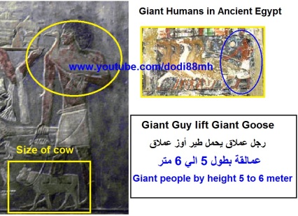 giant birds in ancient egypt2